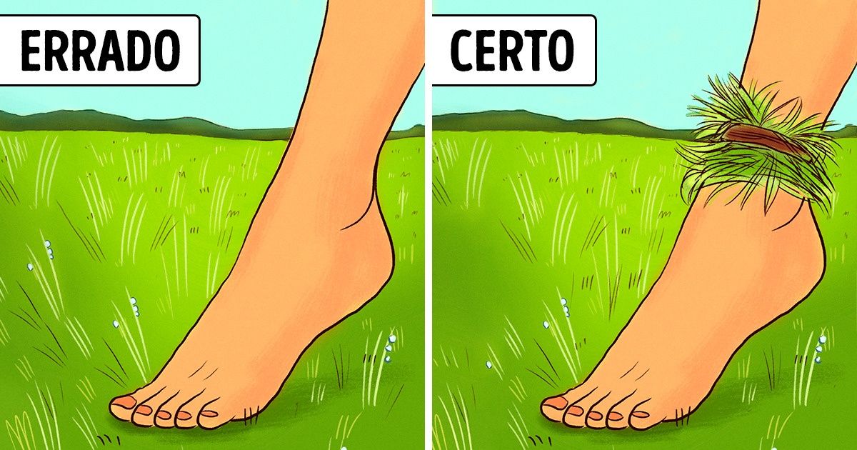 10 Dicas de sobrevivência que realmente podem salvar sua vida 10 Dicas de sobrevivência que realmente podem salvar sua vida