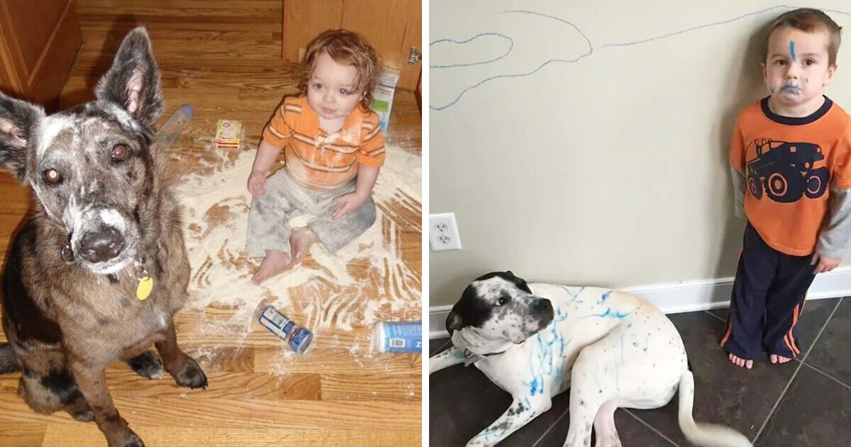 19 Imagens que definem perfeitamente o que é ter uma criança em casa