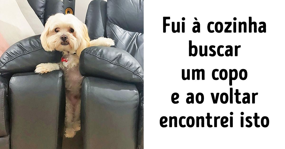 15 Animais que foram surpreendidos “em flagrante”