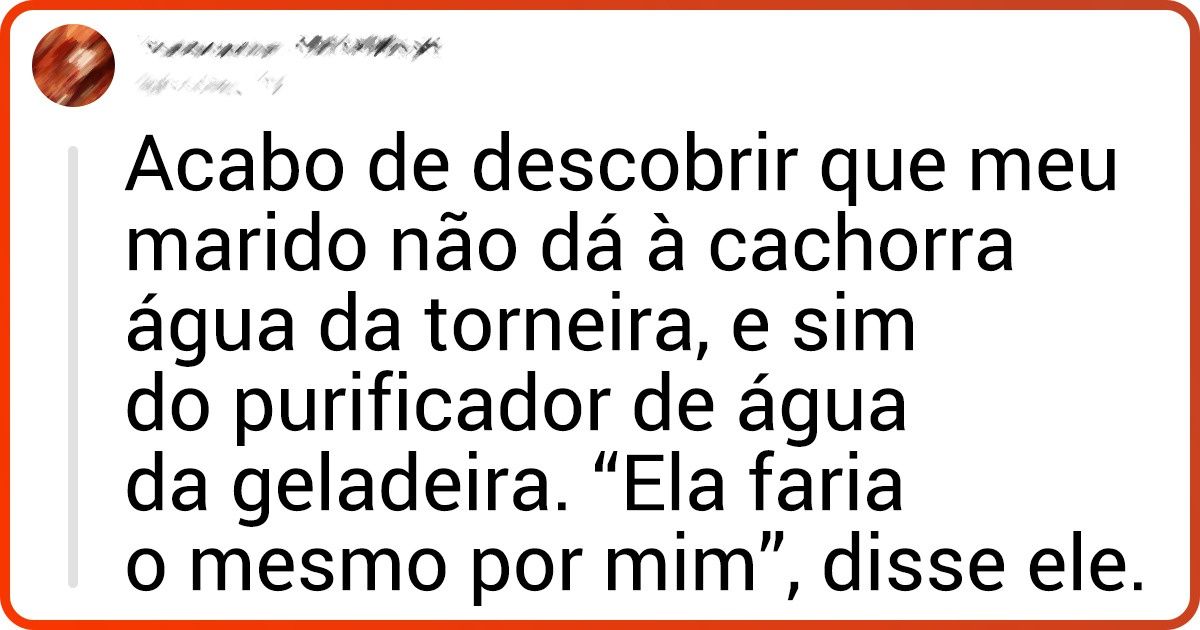 15+ Vezes em que humanos demonstraram amor por seus pets e exageraram nos mimos 15+ Vezes em que humanos demonstraram amor por seus pets e exageraram nos mimos