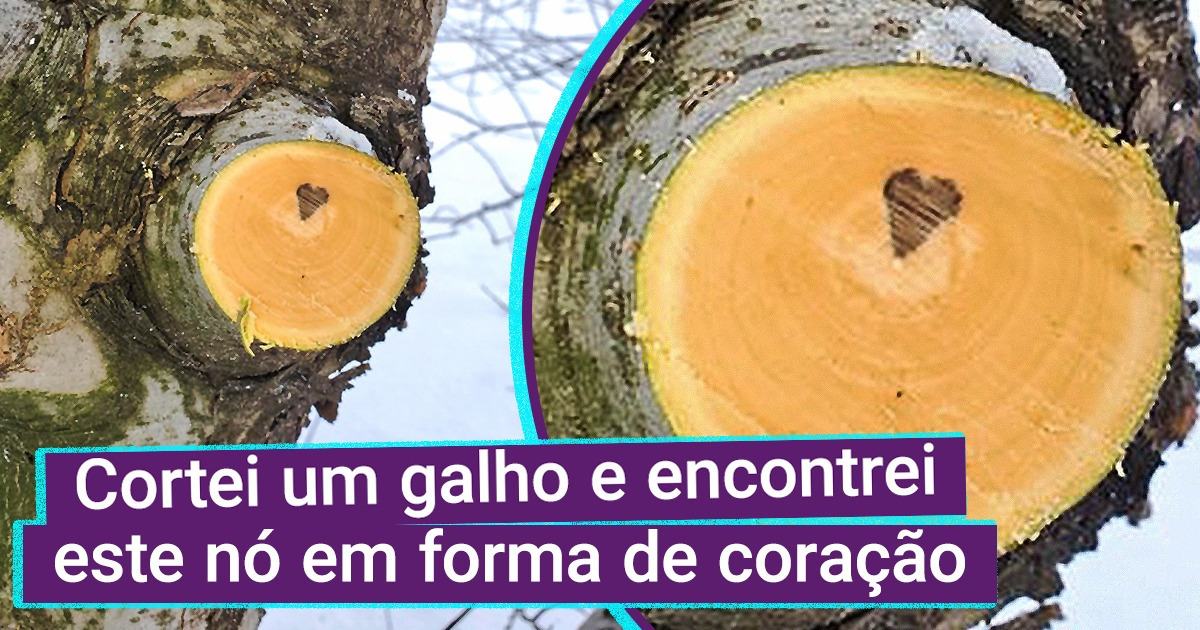 20+ Sortudos que encontraram coisas raras e compartilharam esse momento especial 20+ Sortudos que encontraram coisas raras e compartilharam esse momento especial