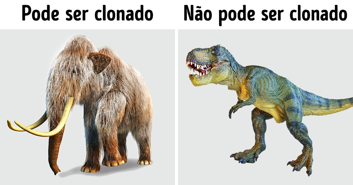 5 Dados sobre o DNA que revelam o quanto a natureza é sábia