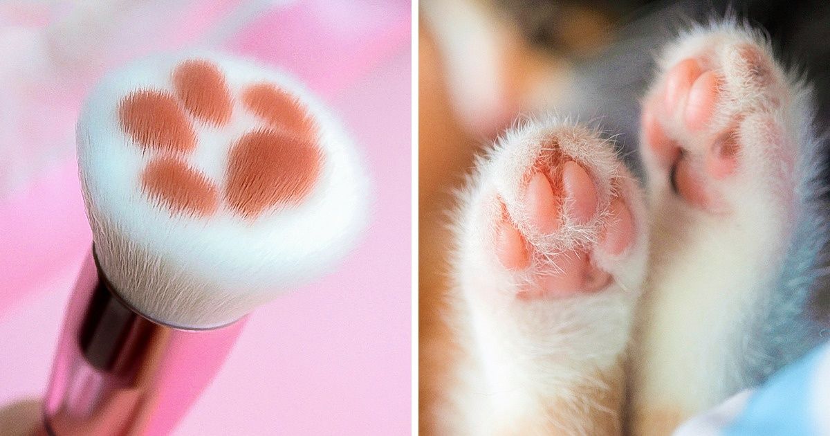 Agora você pode comprar pincéis de maquiagem de “patinha de gato” para se sentir maquiada por um bichano