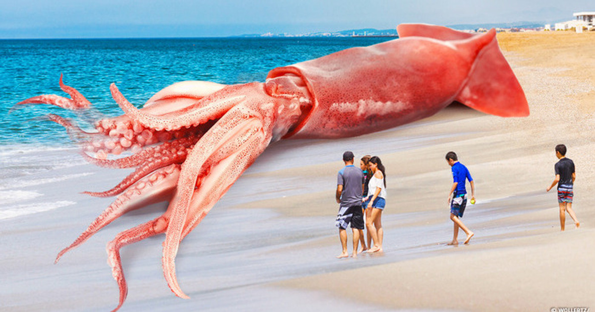 Todos pensavam que era mito, mas é real