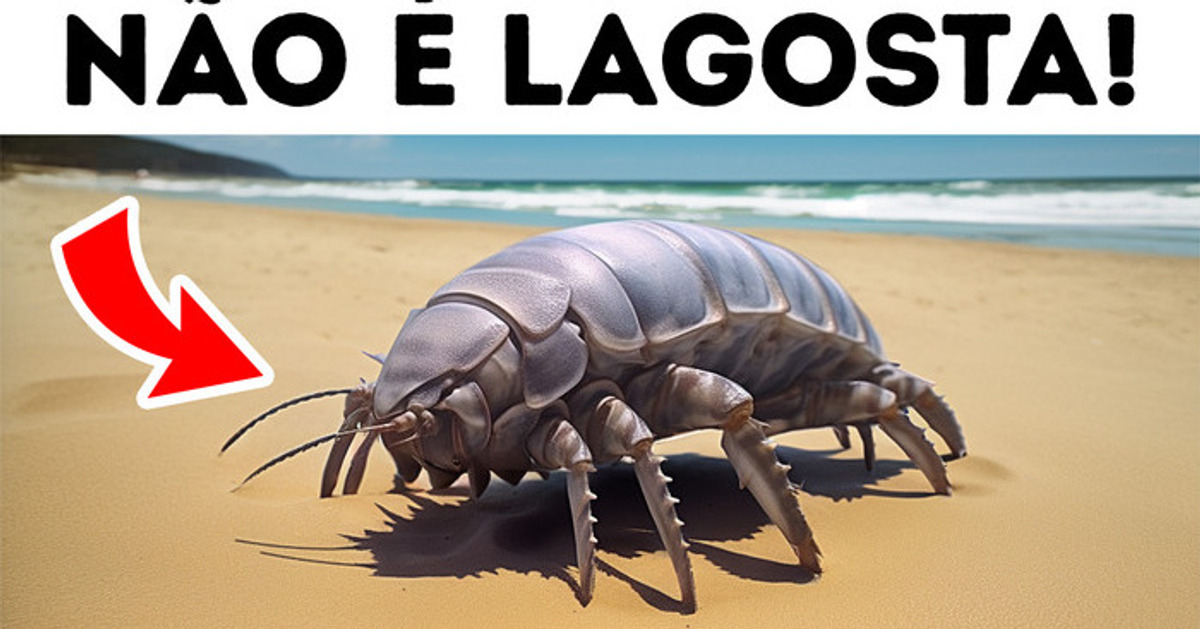 Criaturas Que Você Não Gostaria de Encontrar Na Vida Real Criaturas Que Você Não Gostaria de Encontrar Na Vida Real