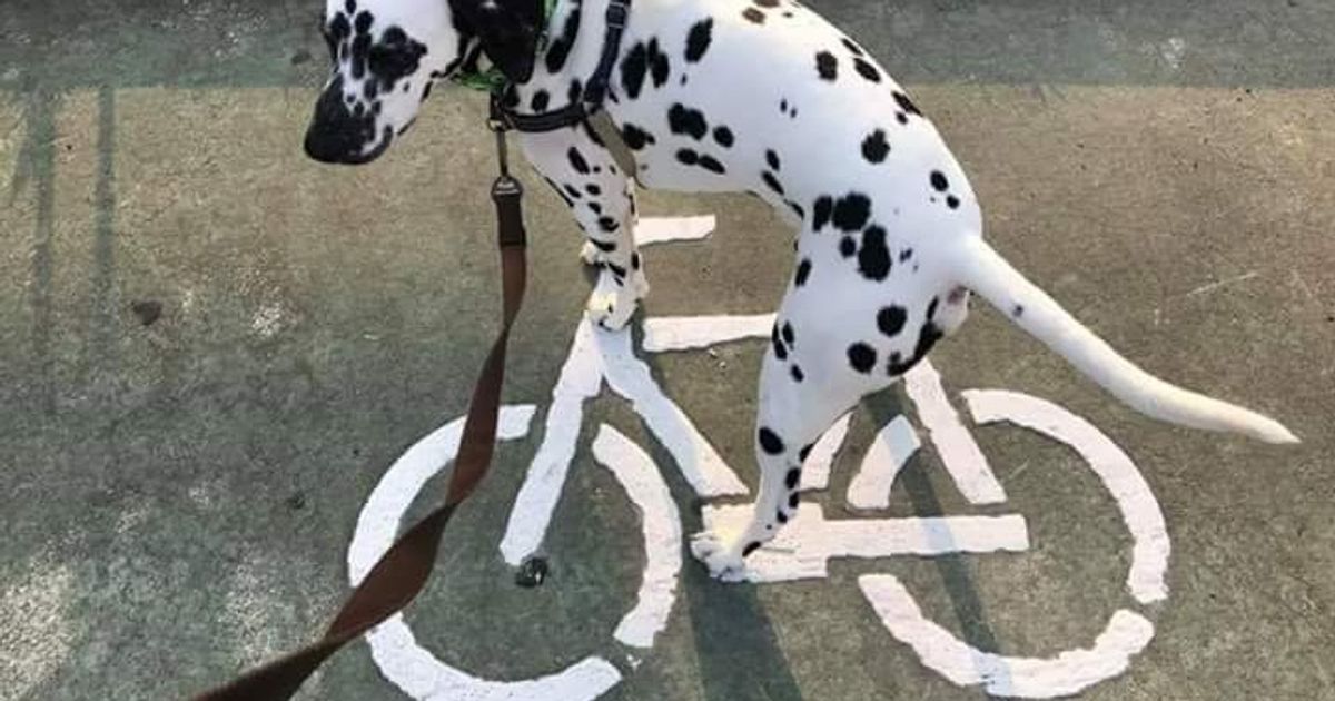 Você confia em seus olhos? Não se apresse em responder