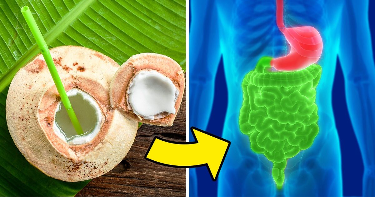 Água de coco e leite de coco, quais as diferenças e os benefícios de cada um