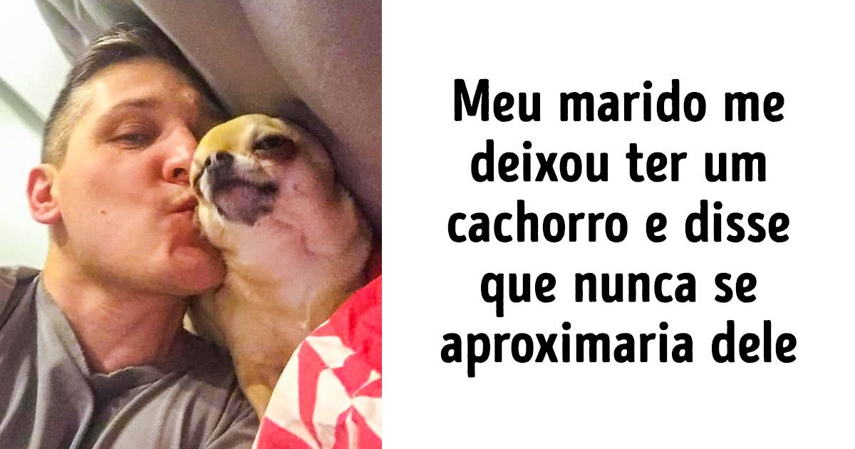 20+ Pessoas que não queriam pets e agora não vivem sem eles