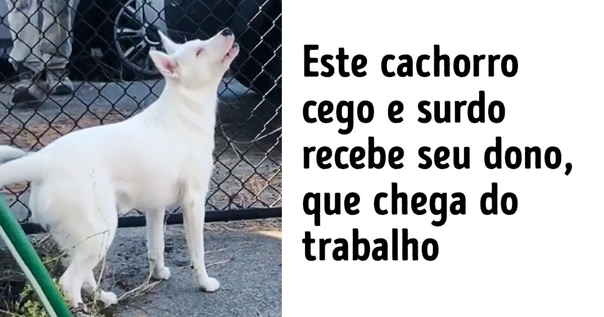 15 Imagens com uma história comovente sobre a própria vida