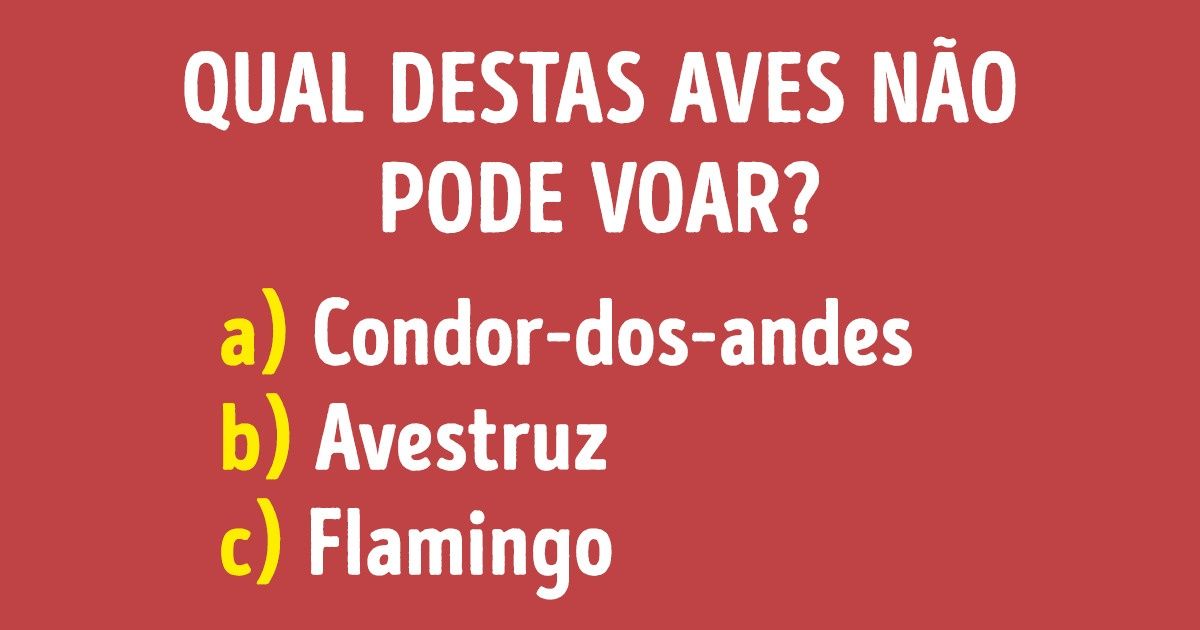 Teste: fizemos uma lista com 45 aves e 15 delas não podem voar, consegue adivinhar quais? Teste: fizemos uma lista com 45 aves e 15 delas não podem voar, consegue adivinhar quais?