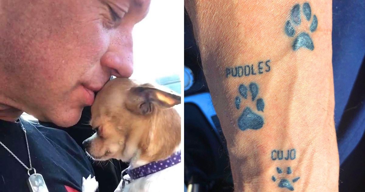 Esse “grandão” odiava cachorrinhos, mas um chihuahua mudou isso Esse “grandão” odiava cachorrinhos, mas um chihuahua mudou isso