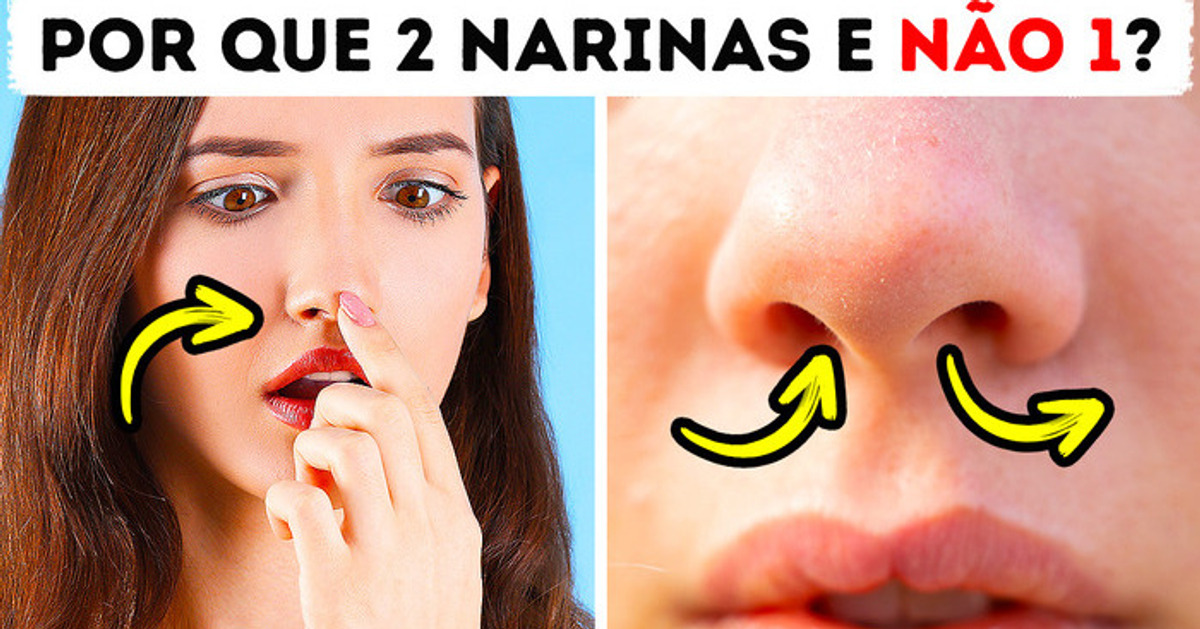 Por que temos duas narinas se só usamos uma