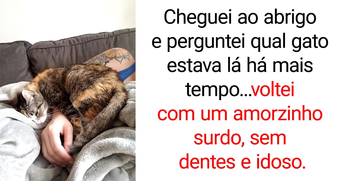 14 Fotos tocantes estreladas pela bondade humana que irão elevar seu espírito 14 Fotos tocantes estreladas pela bondade humana que irão elevar seu espírito