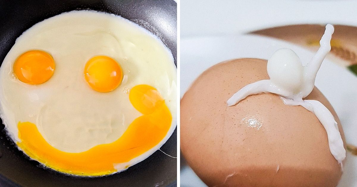 20+ Momentos em que os ovos parecem querer nos dizer algo pela manhã