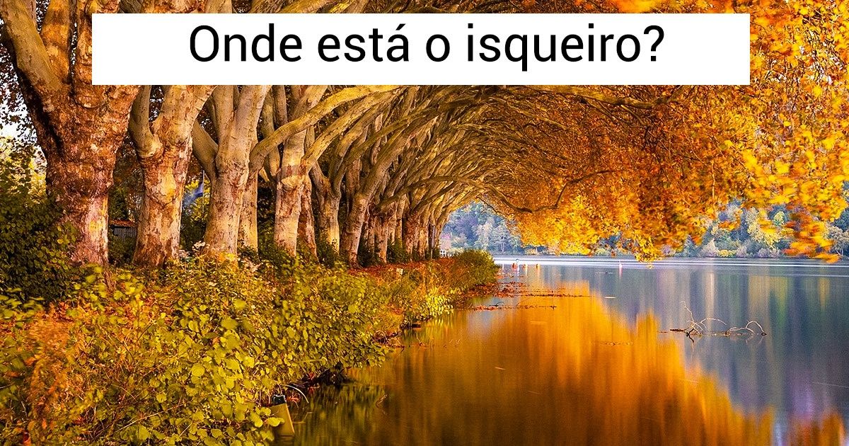 Teste: Coloque seu poder de visão à prova e encontre animais e objetos escondidos em 15 imagens
