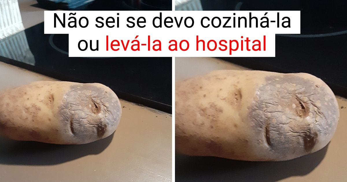 15+ Objetos estranhos que tentam nos iludir, mas não são o que parecem