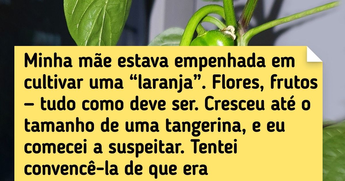 20 Pessoas capazes de criar um verdadeiro paraíso botânico no peitoril da janela de suas casas 20 Pessoas capazes de criar um verdadeiro paraíso botânico no peitoril da janela de suas casas