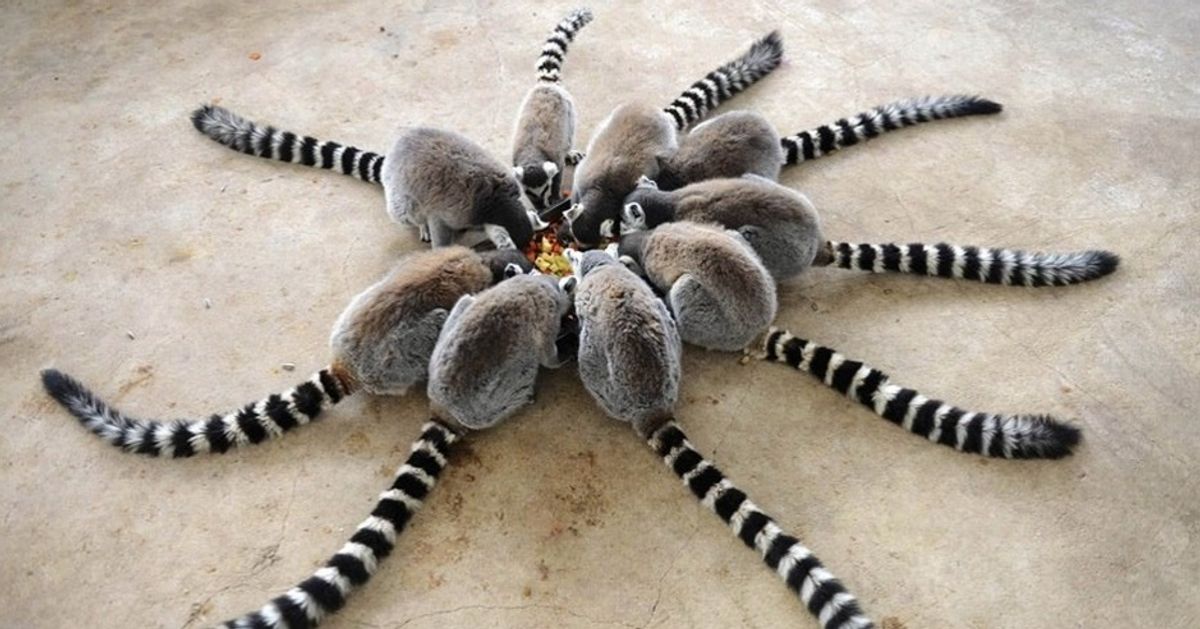 23 fotos alucinantes que beiram o inacreditável