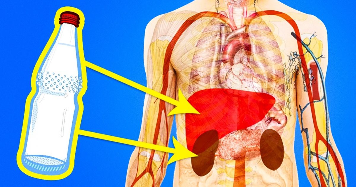 Os malefícios do refrigerante ao corpo humano