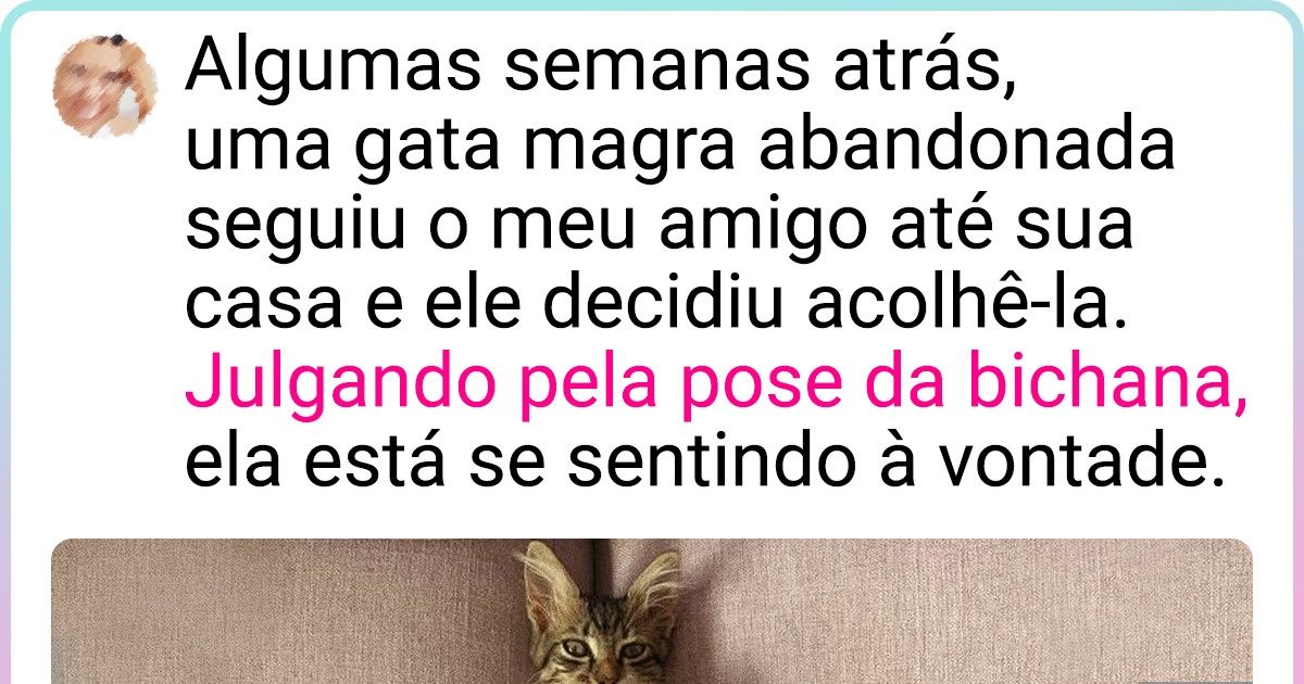 15+ Animais que encontraram um lar e donos bondosos