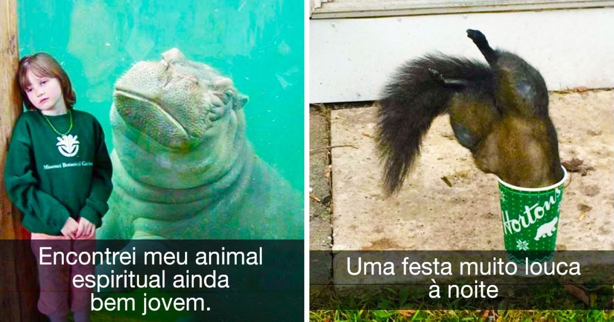 20 Posts divertidos do Snapchat para animar o seu dia