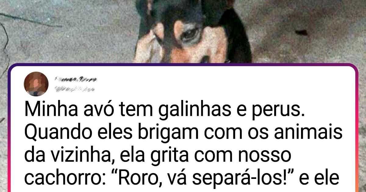 20+ Leitores do Incrível comprovam que o Einstein de toda família é o animal de estimação