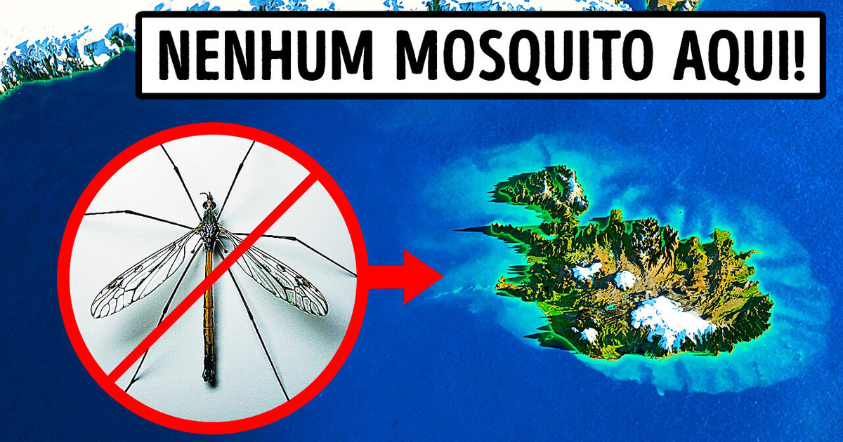 O único lugar no mundo sem mosquitos
