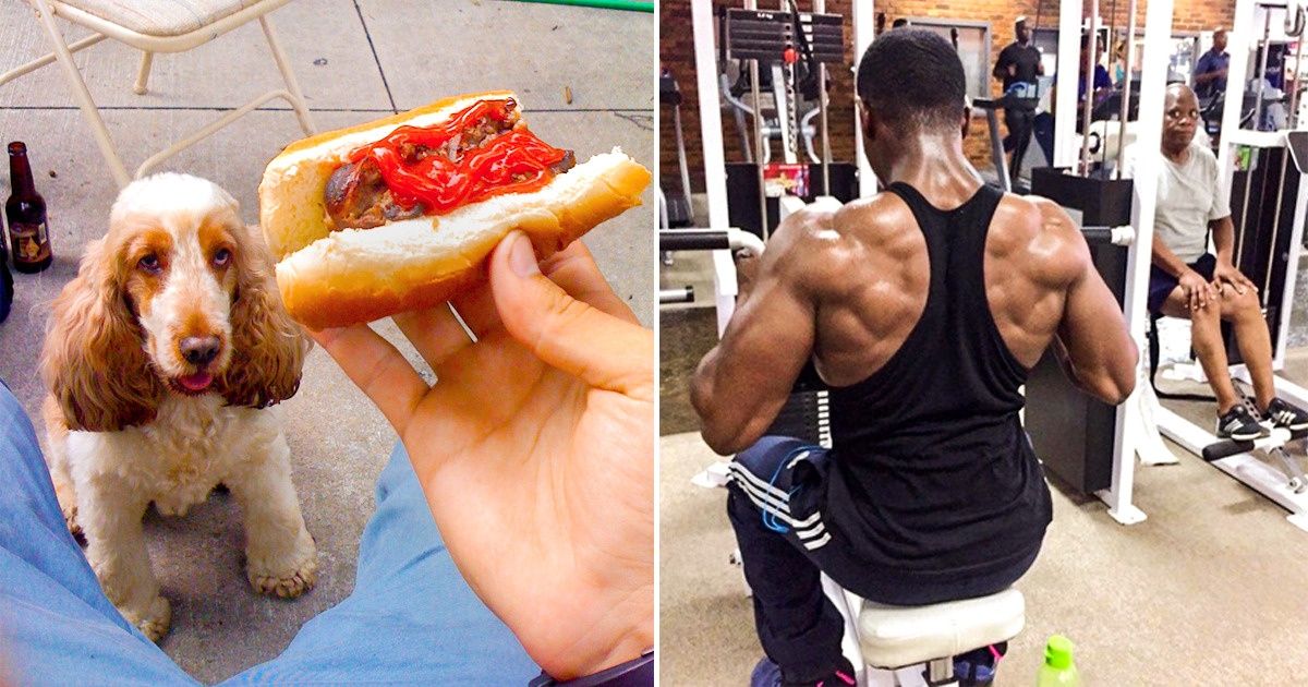 15 Fotos que mostram como o ciúme e a inveja são comuns nos humanos e nos pets