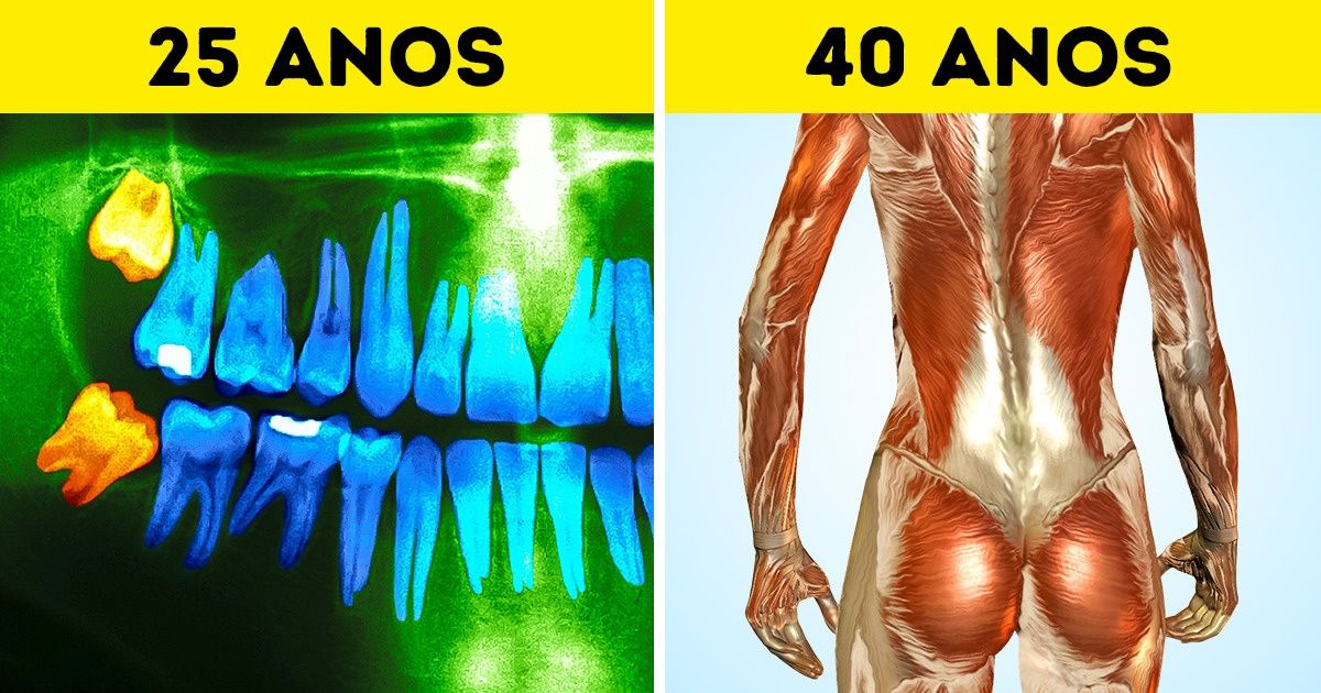 26 Mudanças no organismo humano que acontecem com todos nós 26 Mudanças no organismo humano que acontecem com todos nós
