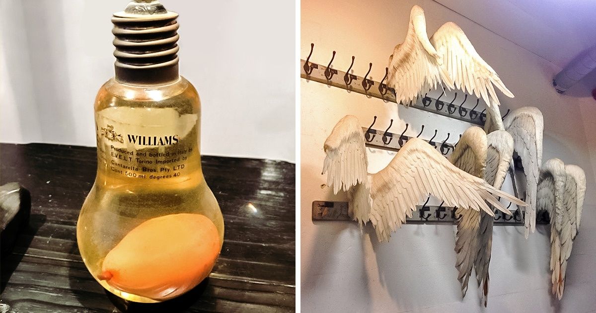 28 Fotos que impressionam até mesmo quem acha que já viu de tudo