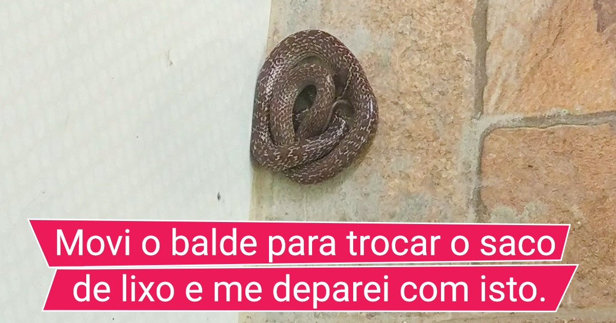 17 Fotos de encontros inesperados que podem animar seu dia 17 Fotos de encontros inesperados que podem animar seu dia
