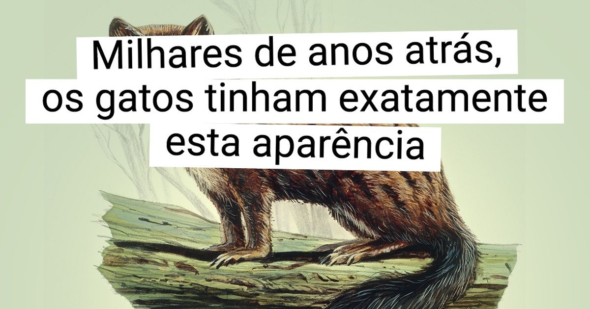 15 Fotos de animais de hoje em comparação com seus ancestrais pré-históricos
