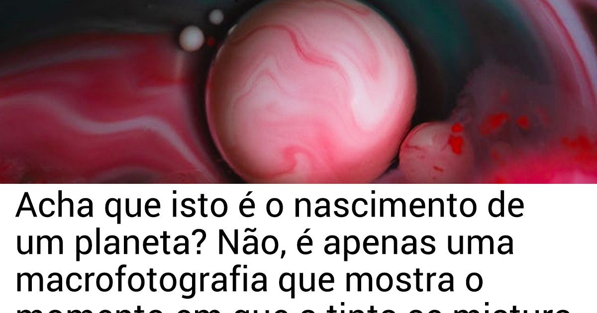 20+ Fotos incríveis que exploram o mundo microscópico da natureza e dos objetos 20+ Fotos incríveis que exploram o mundo microscópico da natureza e dos objetos