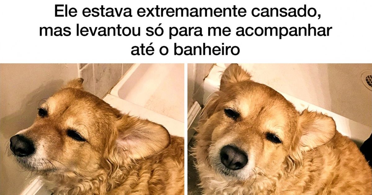 Fotos de quem conhece o significado do amor sincero