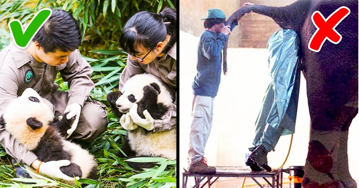 15 Perguntas para encontrar o emprego dos seus sonhos