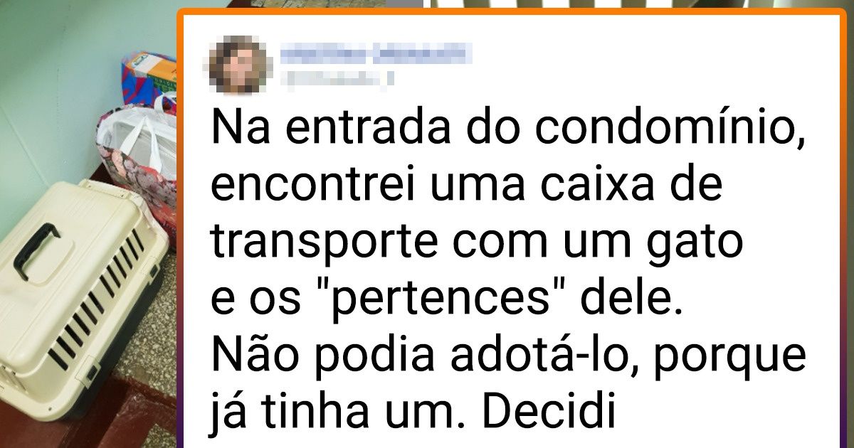 20 Pessoas que se tornaram “anjos da guarda” de animais abandonados