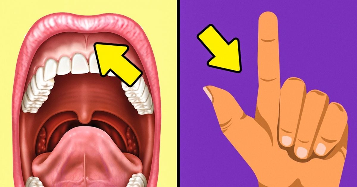 6 Partes do corpo cuja razão de existir você desconhece