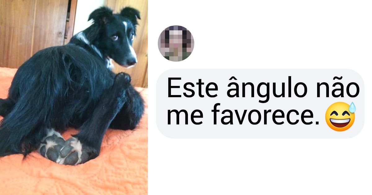 20 Animais de estimação que mostraram que ser você mesmo é mais divertido do que ser “normal”