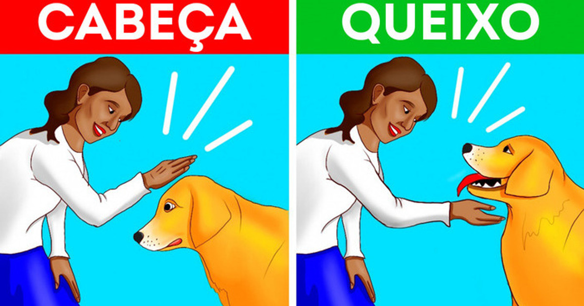 Como se aproximar de um cachorro de um jeito certo e seguro