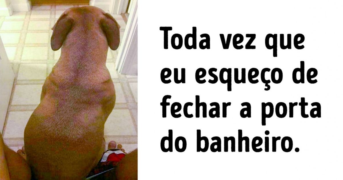 15 Cachorros que não estão nem aí para o título de ’bom garoto’