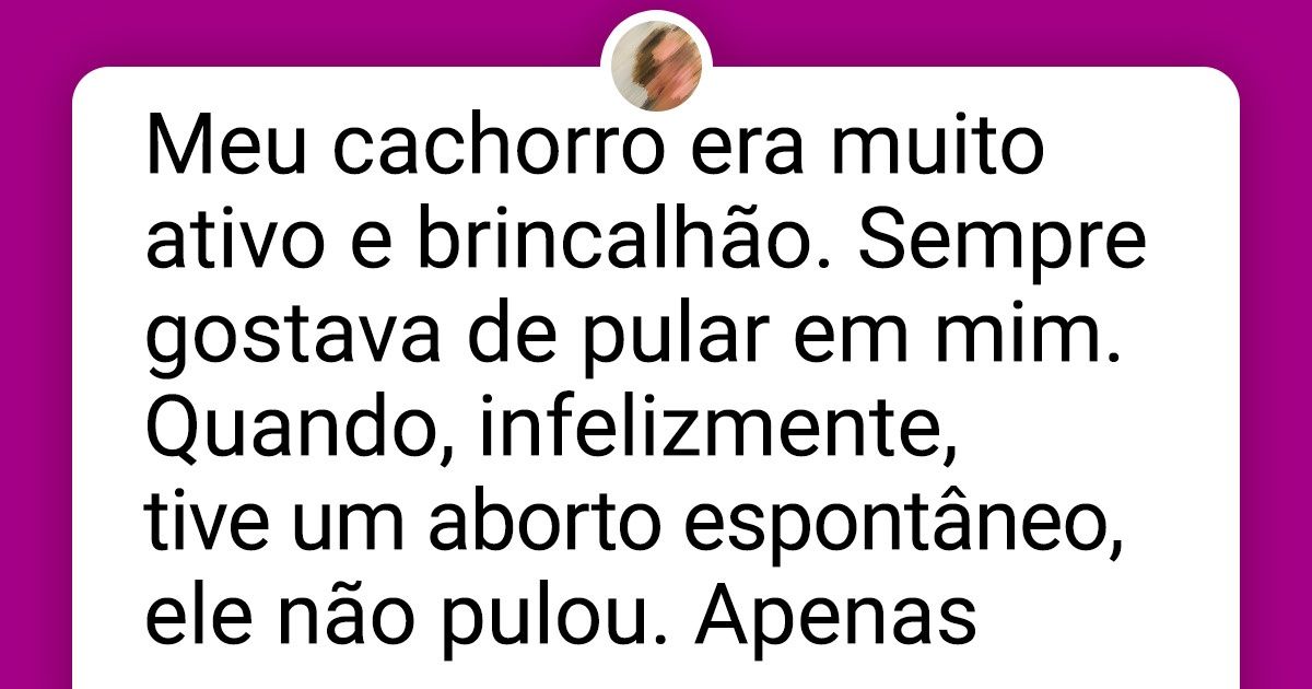 15+ Relatos capazes de mostrar que os animais podem ser mais inteligentes do que pensamos