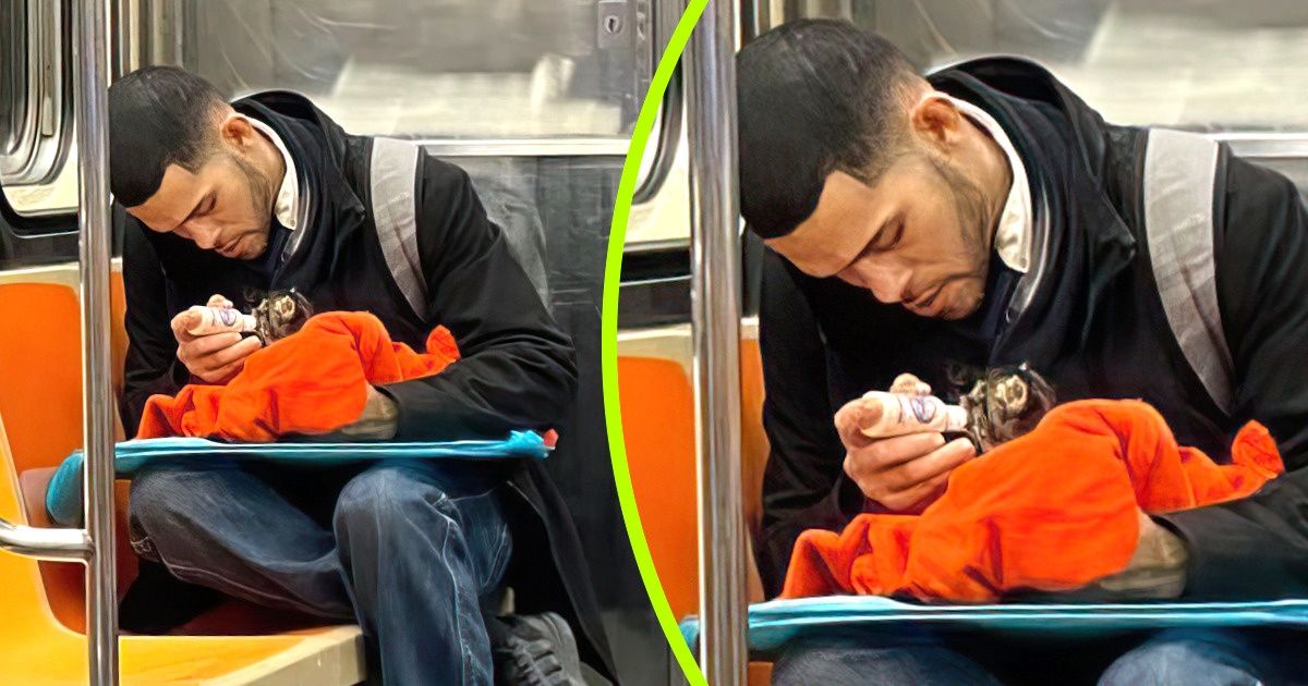 20 Fotos de pessoas cuja bondade é maior do que os seus corações