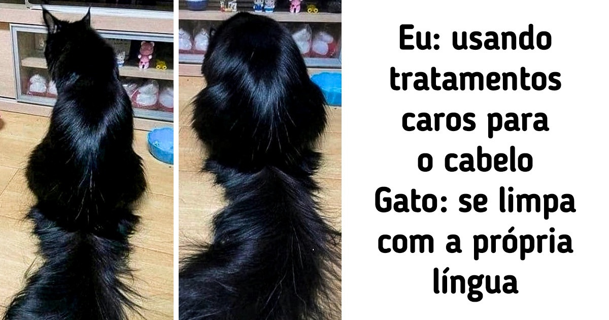 15 Vezes em que o Universo decidiu não colaborar 15 Vezes em que o Universo decidiu não colaborar