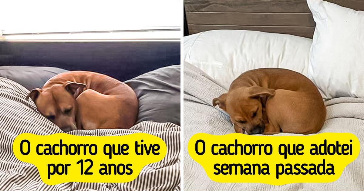 15 Fotos para garantir que você sinta vontade de colocar um sorriso no rosto