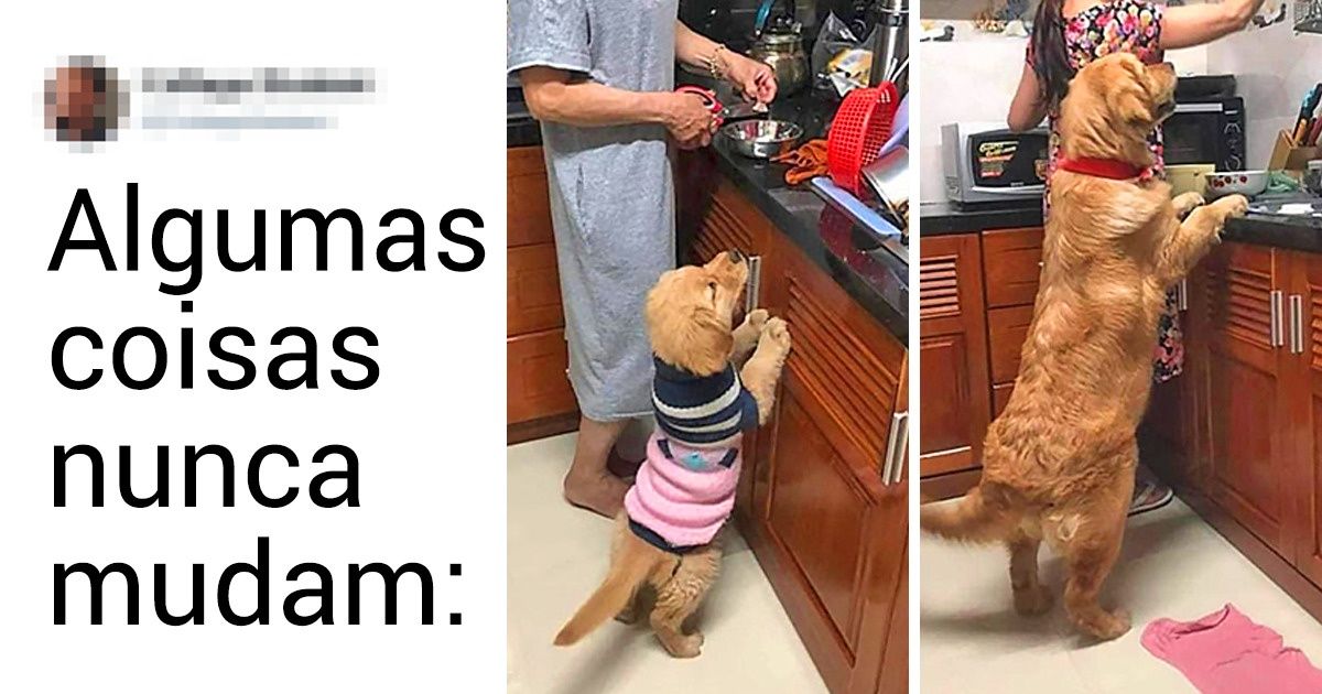 20 Fotos fofas que mostram como algumas coisas continuam as mesmas, mesmo com o passar do tempo