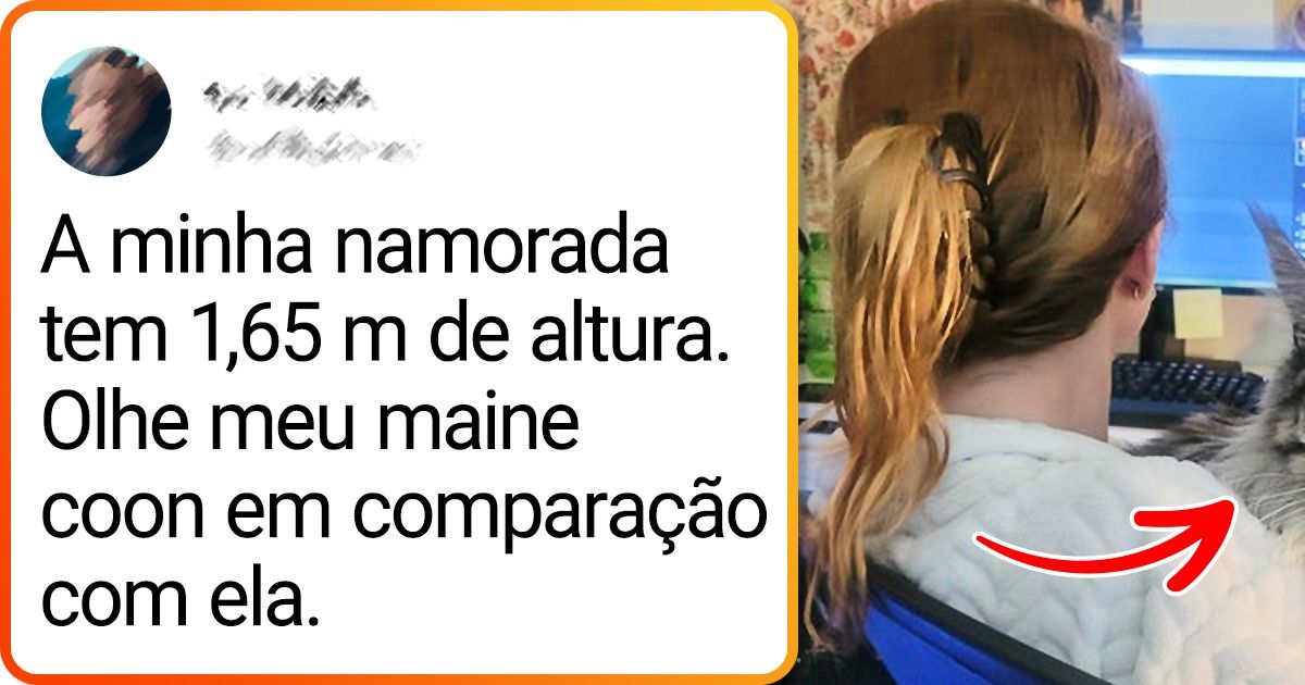 18 Provas de que os animais grandes têm um carisma enorme 18 Provas de que os animais grandes têm um carisma enorme