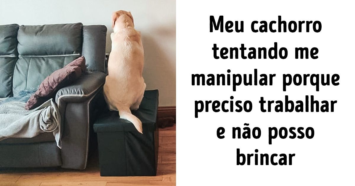 15+ Animais com talentos teatrais dignos de protagonistas 15+ Animais com talentos teatrais dignos de protagonistas