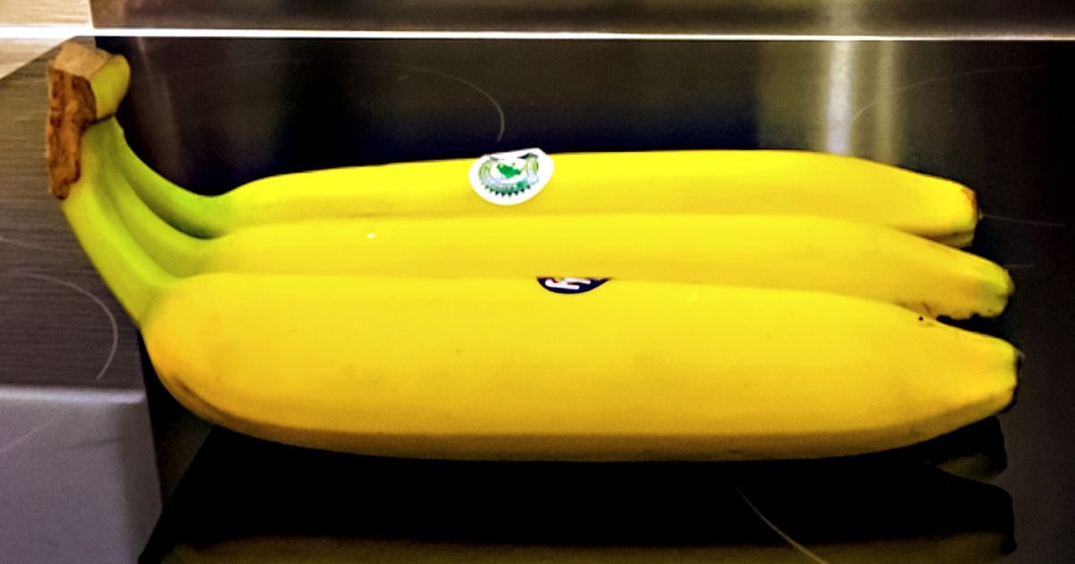 20 Achados que mostram como a vida é capaz de surpreender