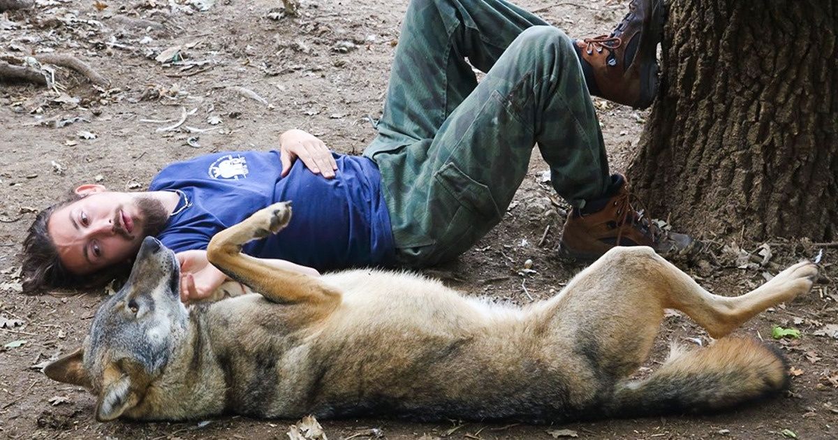 Trabalho em um zoológico e vou contar o que acontece lá dentro