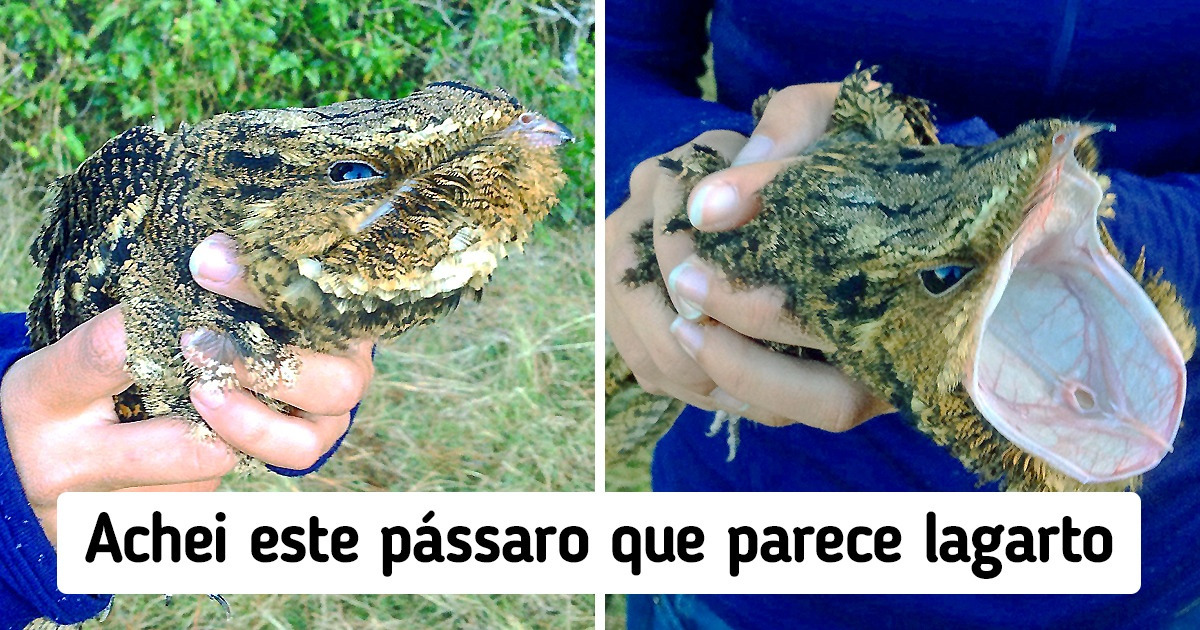 15 Vezes em que o universo ficou entediado e resolveu preparar um baita espetáculo